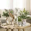  29393_a.webp