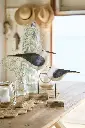 29355_a.webp