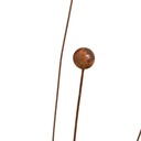 22370_b.jpg