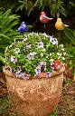 01962_BirdsOnSticks-1_April 2023.webp