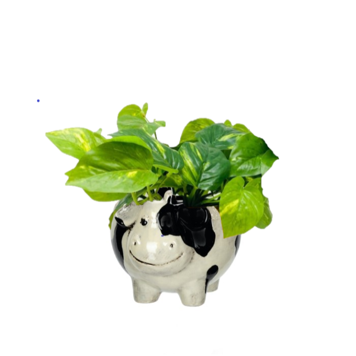 23612_b.png