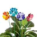 29942_2.webp