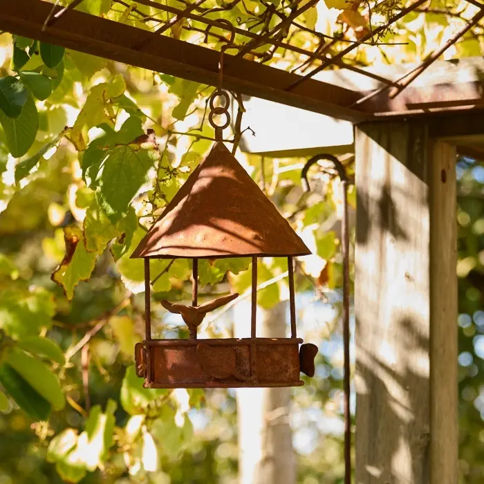 resize_resize_09487 Bird Feeder 1 SQU HR_May 2024.webp