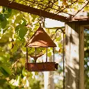 resize_resize_09487 Bird Feeder 1 SQU HR_May 2024.webp