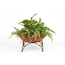 00292_2.webp