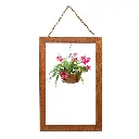 15945_b.webp