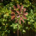 05977_a.jpg
