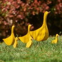 07377_a.jpg