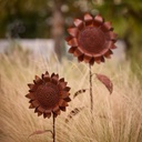 08145_a.jpg
