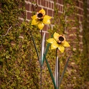 08824_a.jpg