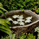 09760_a.jpg