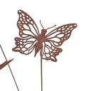 25647_b.jpg