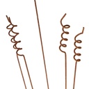 25807_c.jpg