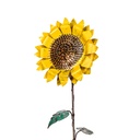 08633_b.jpg
