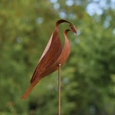 26415_a.jpg