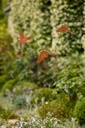 27597_a.jpg