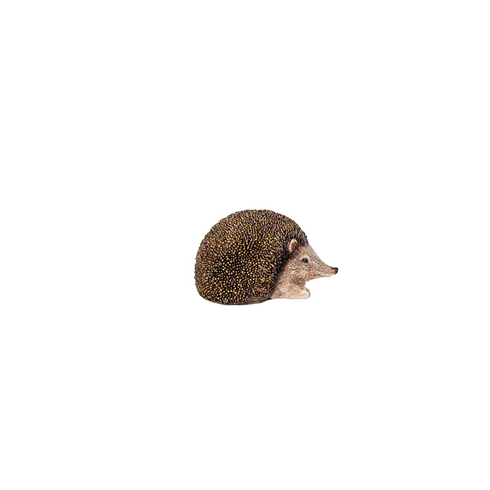 29805_b.jpg