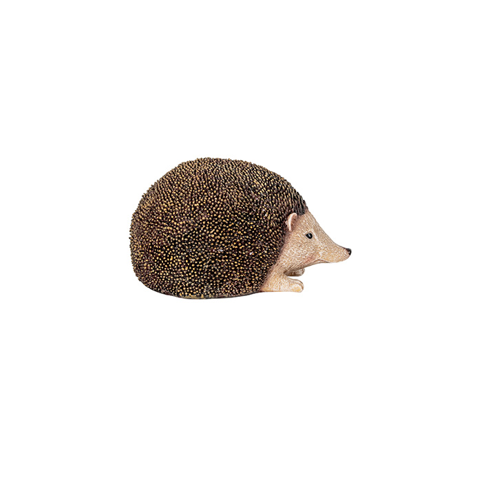 29812_b.jpg