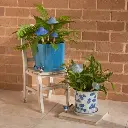 20680_a.webp