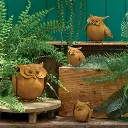 20543_a.webp