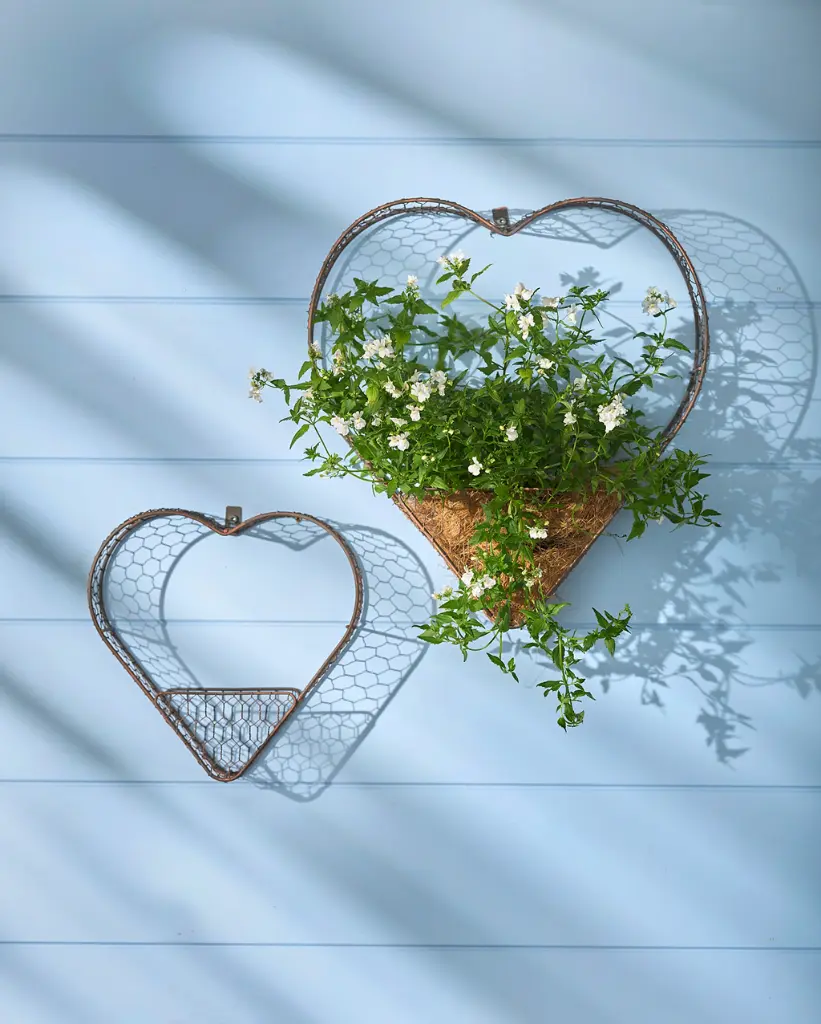 15259_a.webp