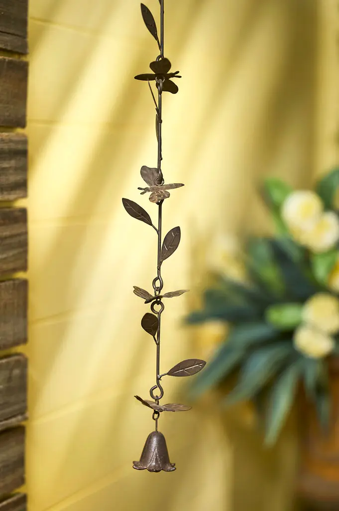 24794_a.webp