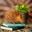 28471_a.webp