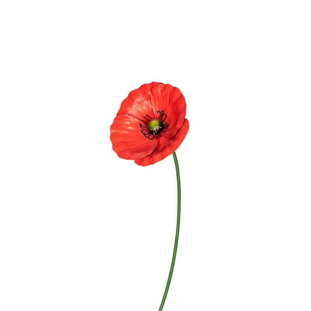 Stake Poppy Red Large