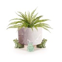 Frog Pot Feet Ass