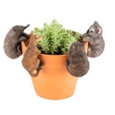 Aussie Animal Asst Pot Sitters