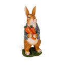 Young Rabbit Character
