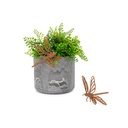 Pot Hanger Dragonf Corten Sm-