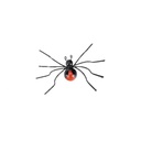Red Back Spider Wire^