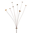 Stake Flower Spray 8 Head