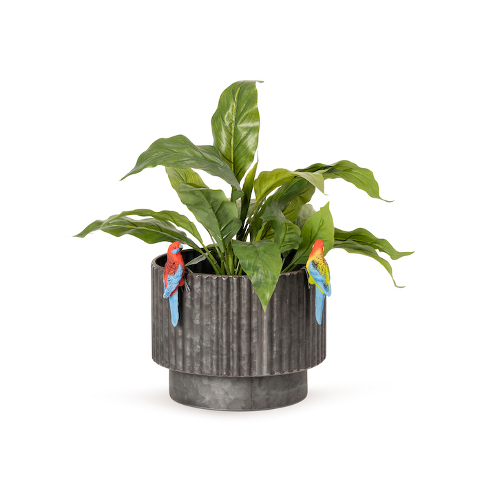 Crim/East Rosella Pot Sitter