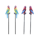 Crimson/Eastern Rosella Stick