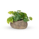 Bowl Stone Deep Small