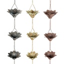 Rainchain Lily Assorted