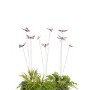 Spray Insect Assorted