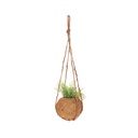 Coconut Fibre Ball Planter