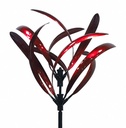 Wind Spinn Grevillea Ruby Red