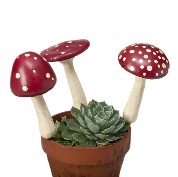 Mushroom Spike Resin