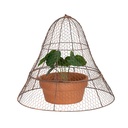 Cloche 2PC Dome Set Copper