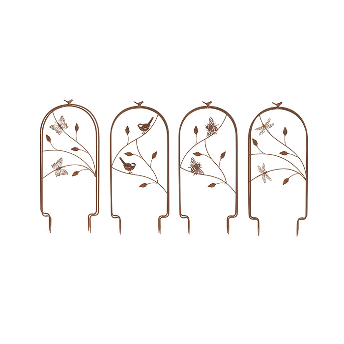 Growing Frame Small Rust Ast-: