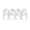 Growing Frame Small Rust Ast-: