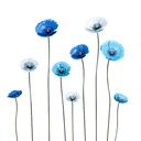 Stake Poppy Blue S/9