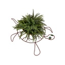 Wire Turtle planter Rust