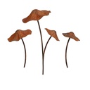 Mixed Mushroom Rust S/3