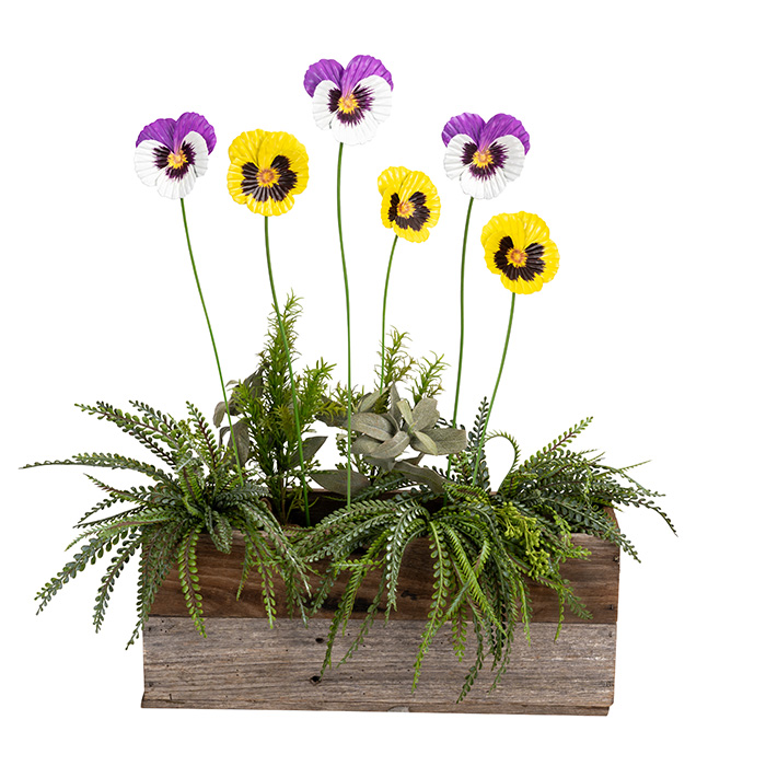 Pansy 60cm 2 colour pack