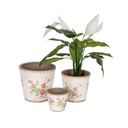 Pot Rose Tall S/3